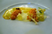Heirloom tomato with langoustines and coriander