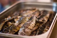 Leandro Carreira's cured mackerel