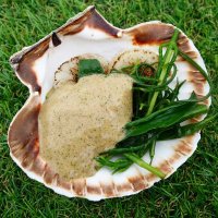 Diver scallop with fermented dulse, brown crab and barley miso from The Dairy