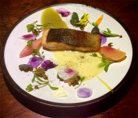 Sea trout