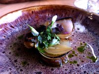 Burnt onion, apple, gin and thyme