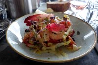 Atlantic prawns and pink grapefruit salad