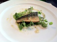 Seawater cured kentish mackerel, organic broccoli and warm elderflower honey