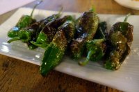 Blistered Padron peppers