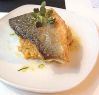 Grilled sea bass with creamy saffron rice