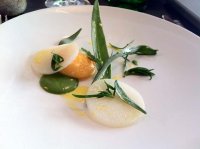 Roast turnip baked in salt, smoked yolk, sea vegetables and wild mustard