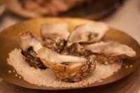 shucked oysters