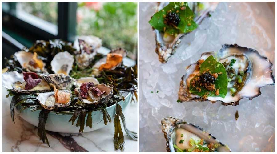 best dressed irish oyster 2019