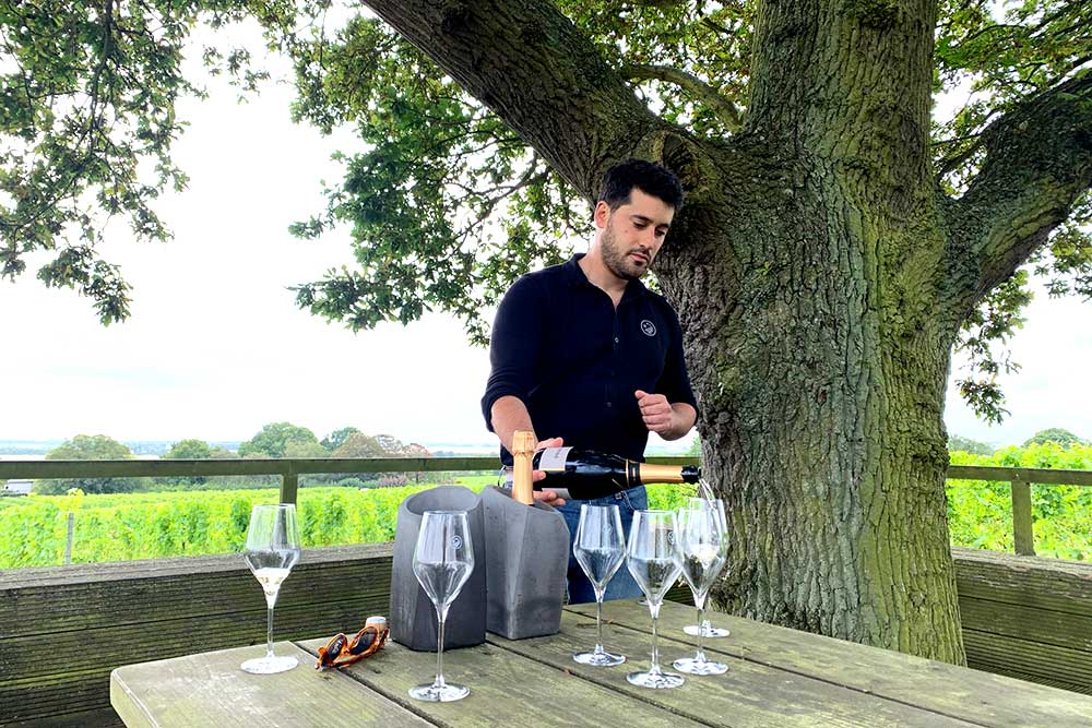 gusbourne vineyard tour review
