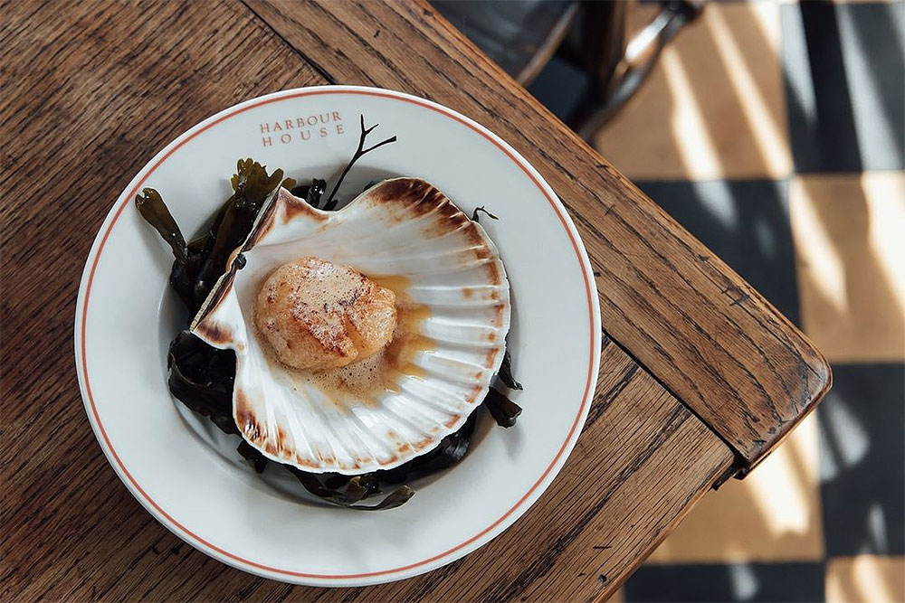 where to eat and drink in falmouth