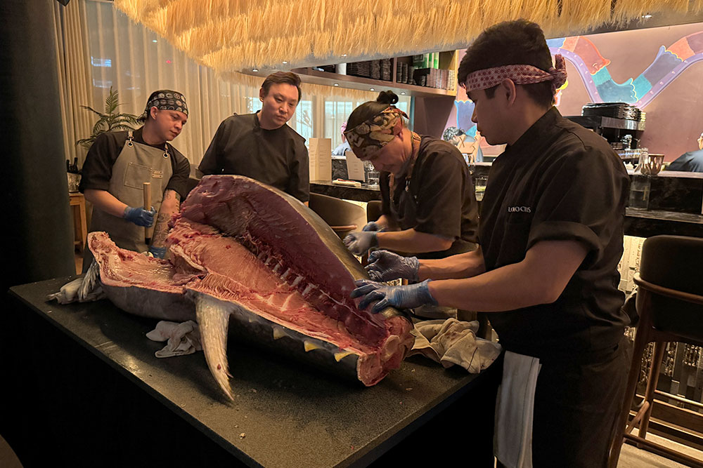 the tenrei tuna ceremony at los mochis london city