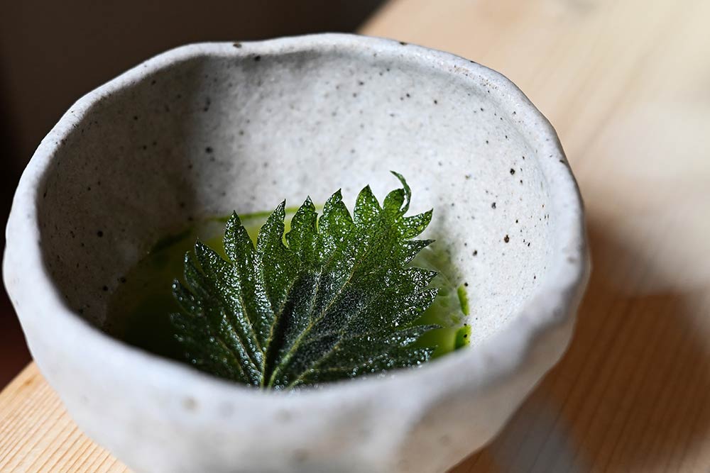 Nettle