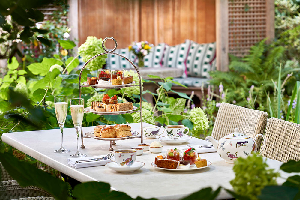 The Orangery at Number Sixteen  afternoon tea london