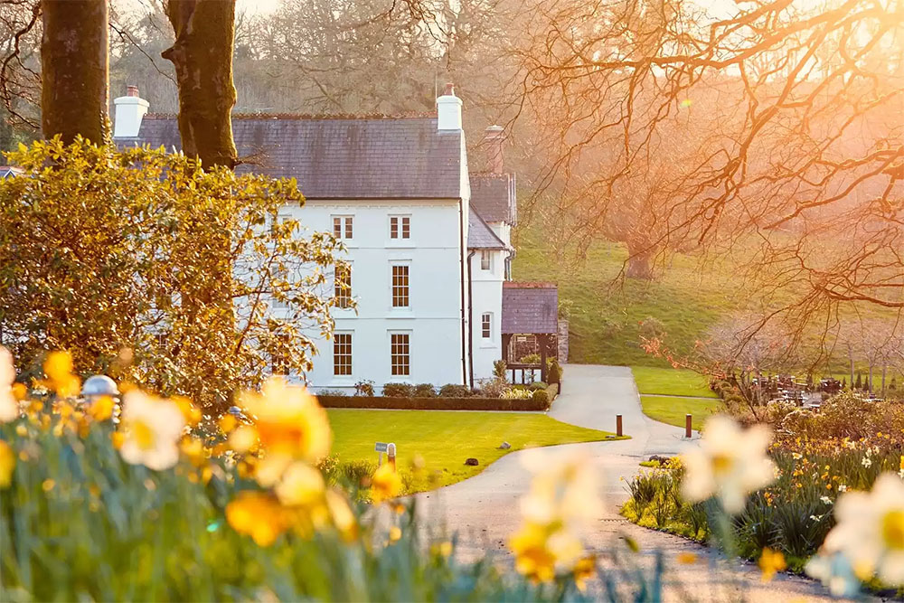 The Grove at Narberth best uk country hotels