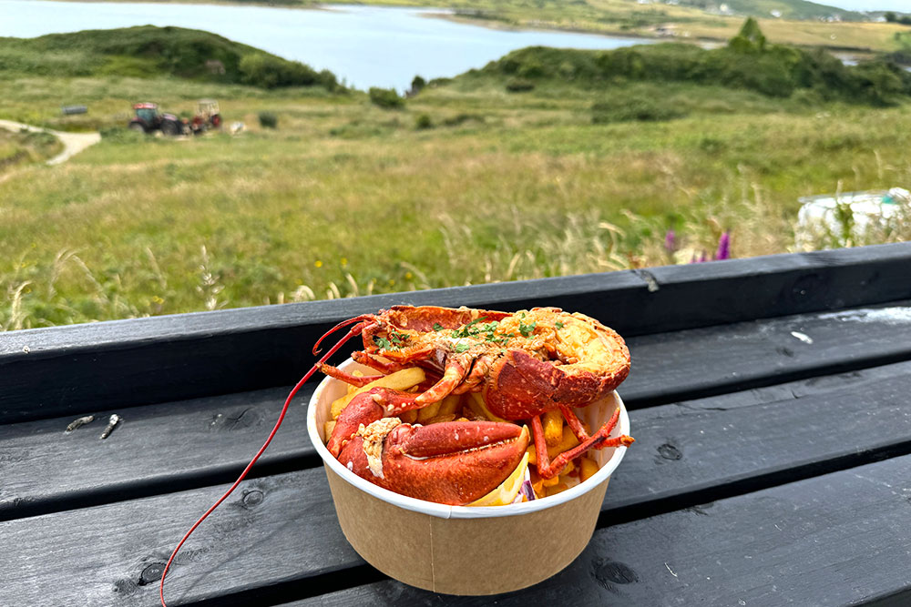 Lobster & chips (Connemara, Ireland) - Dooncastle Oyster Truck