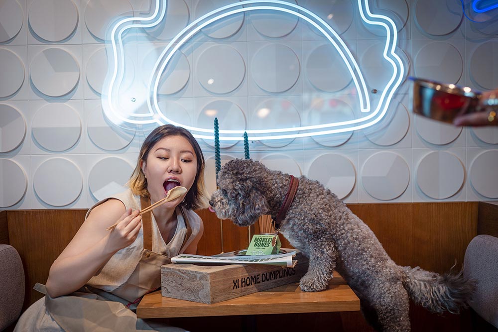 The best dog-friendly restaurants in London